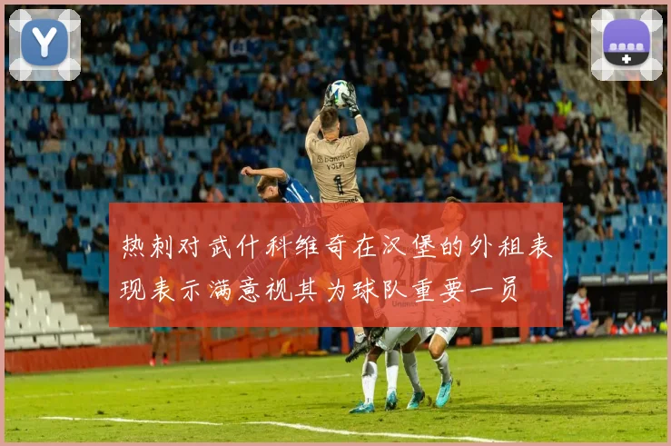 热刺对武什科维奇在汉堡的外租表现表示满意视其为球队重要一员