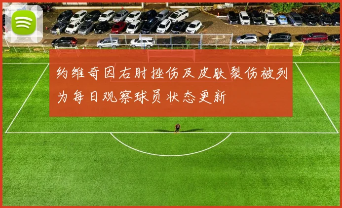 约维奇因右肘挫伤及皮肤裂伤被列为每日观察球员状态更新