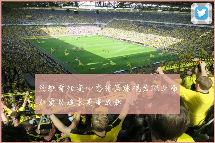 约维奇转变心态将篮球视为职业而非爱好追求更高成就
