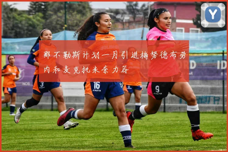 那不勒斯计划一月引进梅努德布劳内和麦克托米奈力荐