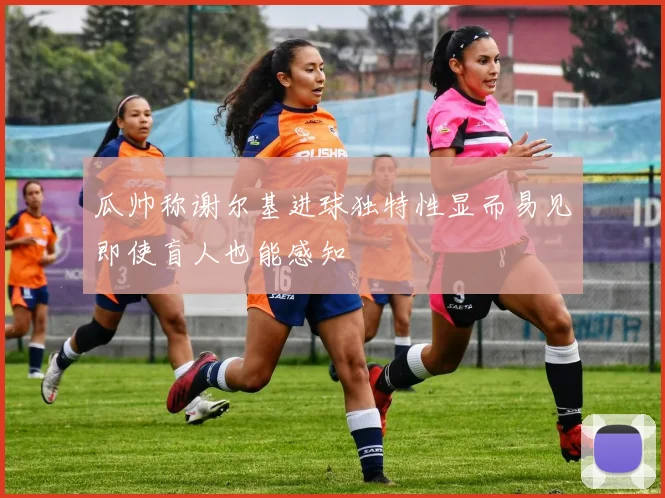 瓜帅称谢尔基进球独特性显而易见即使盲人也能感知