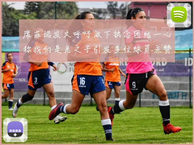 席菲诺发文呼吁放下执念团结一心称我们是光之子引发多位球员点赞