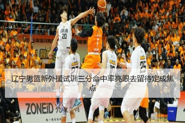 辽宁男篮新外援试训三分命中率亮眼去留待定成焦点 | YaboSports